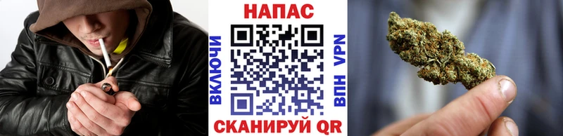 Каннабис SATIVA & INDICA  купить  цена  Гагарин 